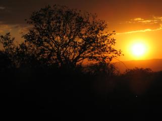 337835_10150568855209104_1275921343_o